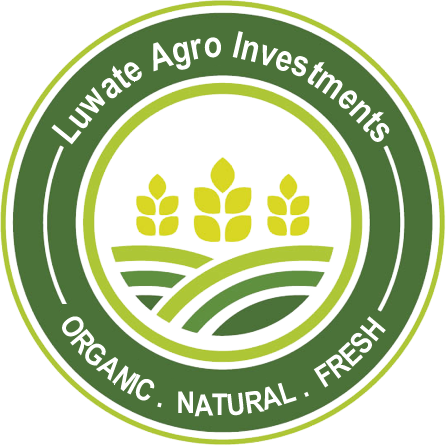 School
